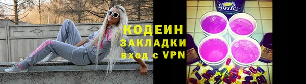 шишки Нижний Тагил