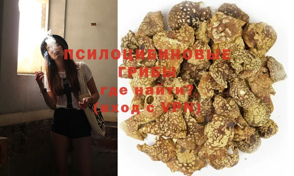 скорость Ладушкин