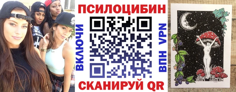 Галлюциногенные грибы Psilocybe  Староминская 